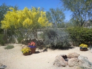 2011-05-02_14-03-14_8