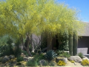 2011-05-06_14-02-57_599
