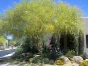 2011-05-06_14-04-18_736