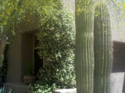 2011-05-06_14-10-17_928