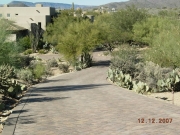DSCN2909