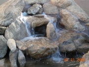DSCN0869