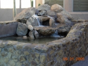 DSCN0872