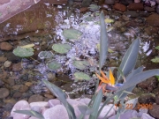 DSCN0944