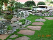 DSCN0939