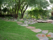 DSCN0948