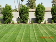 DSCN0987