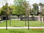 DSCN0991