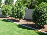 DSCN1037