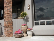 DSCN0266