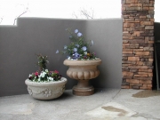 DSCN0272