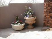 DSCN0277