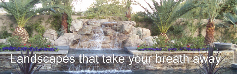 desert-flora-gallery2