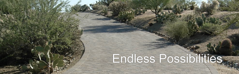 desert-flora-gallery3