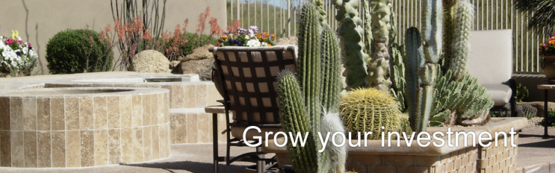 desert-flora-gallery5